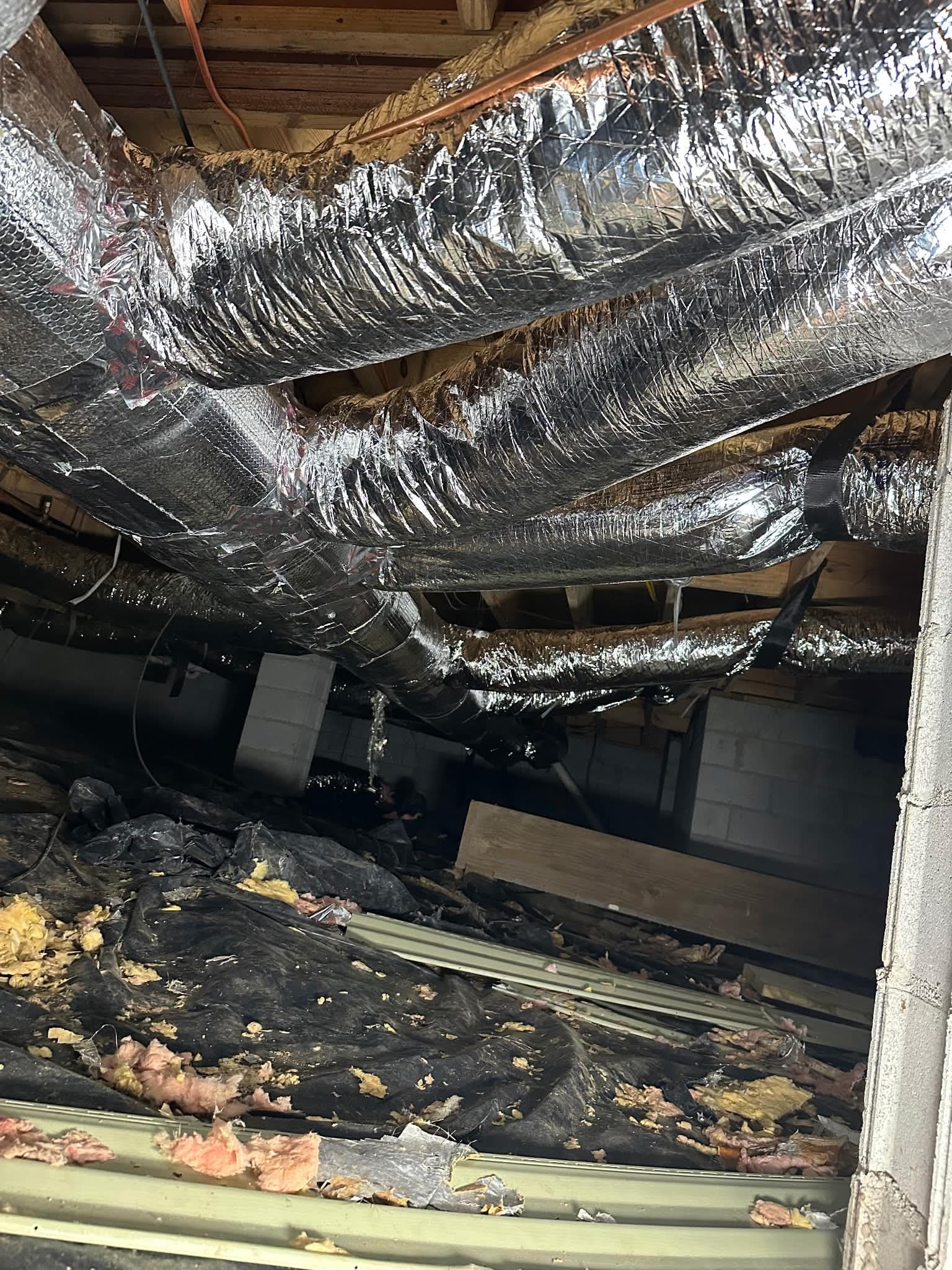 Crawlspace Trunk Line